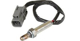 Walker Oxygen Sensor