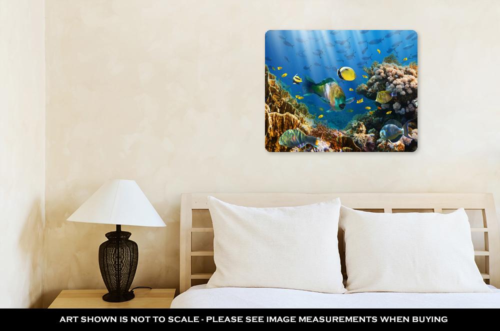 Metal Panel Print, Coral And Fish In The Red Sea Egypt