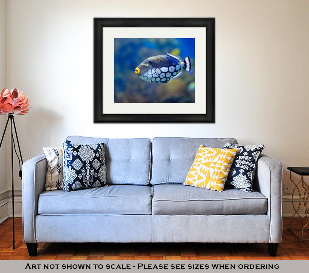 Framed Print, Underwater Image Of Tropical Fishes