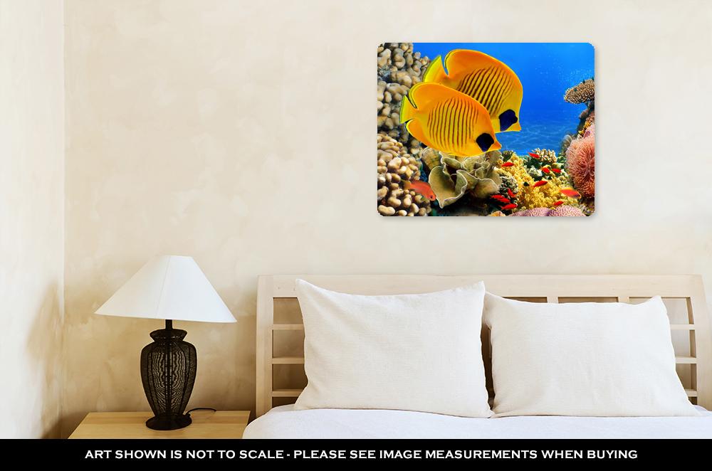 Metal Panel Print, Photo Of A Coral Colony