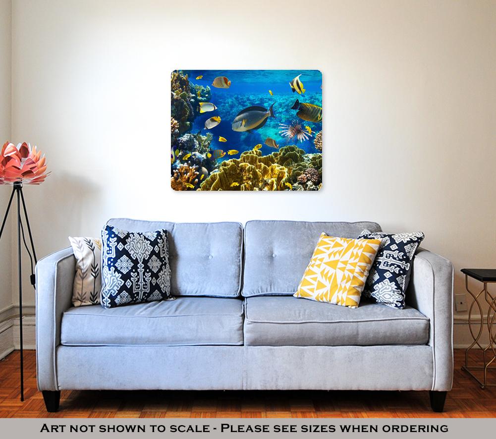 Metal Panel Print, Photo Of A Tropical Fish On A Coral Reef