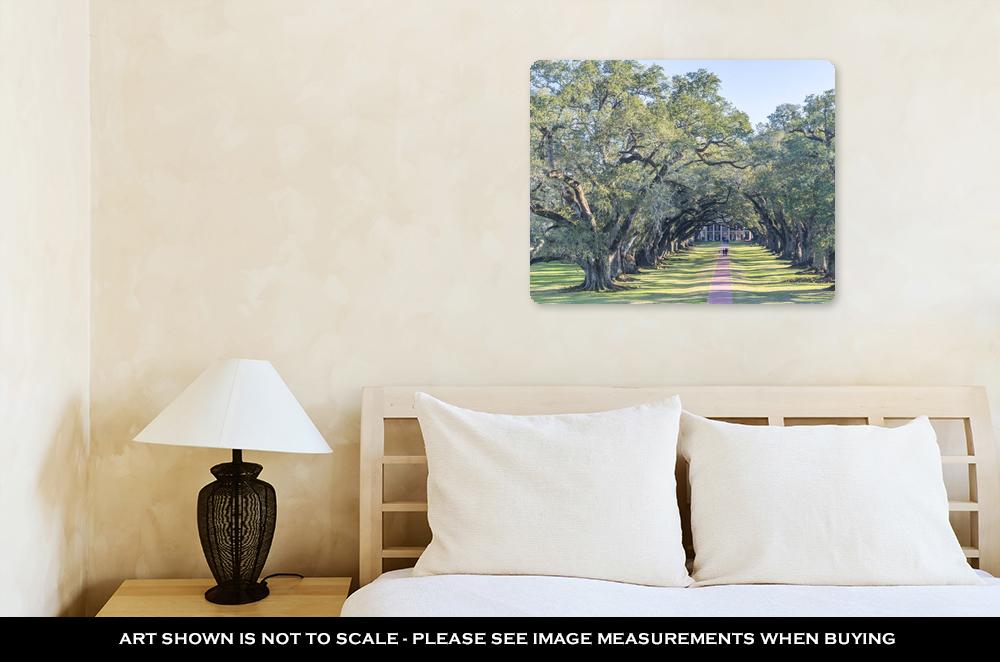 Metal Panel Print, Oak Alley Plantation Louisiana