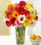 Two Dozen Gerbera Daisies with Clear Vase