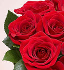 Two Dozen Red Roses with Red Vase