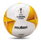 Molten Professional Soccer Balls (Football) Size 4 and Size