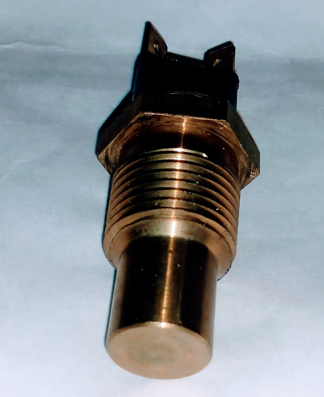 TS49 SENSOR (CAPTEUR)