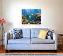 Metal Panel Print, Coral And Fish In The Red Sea Egypt