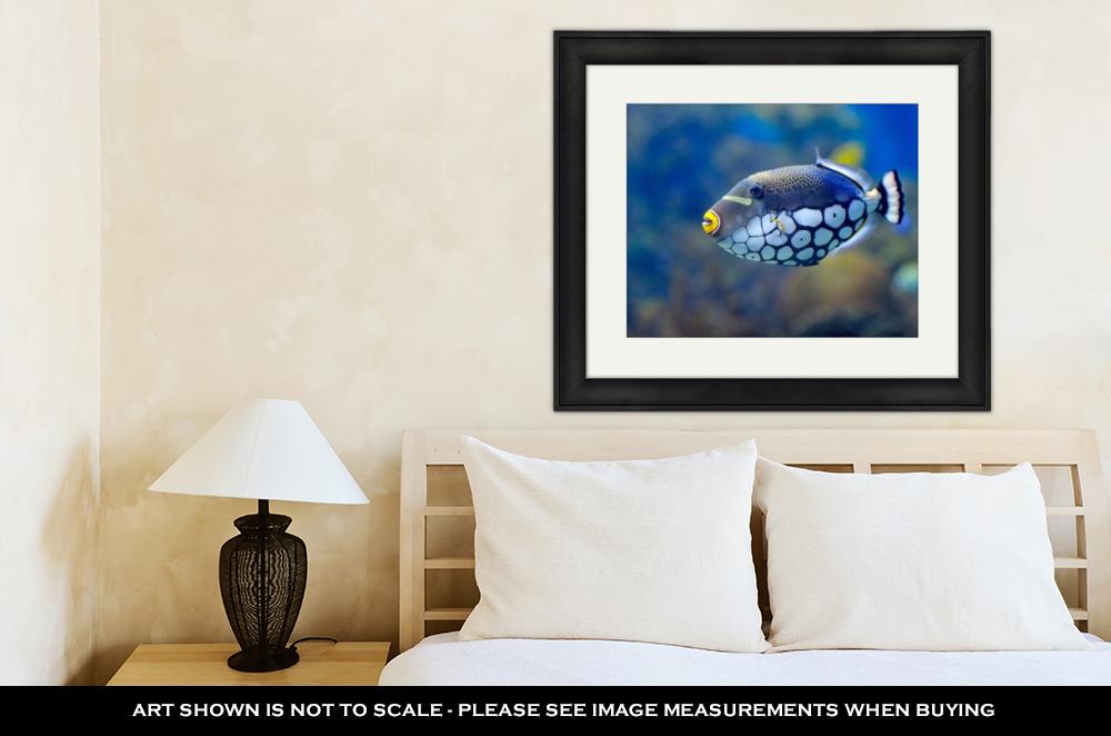 Framed Print, Underwater Image Of Tropical Fishes