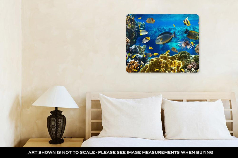 Metal Panel Print, Photo Of A Tropical Fish On A Coral Reef