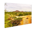Metal Panel Print, Papago Park In The City Of Tempe Arizona In The United States Of America