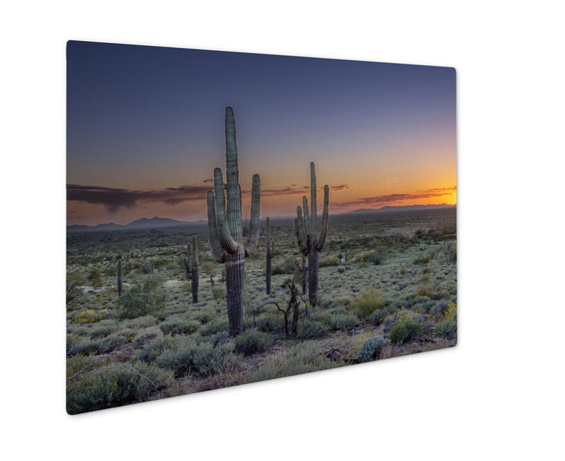 Metal Panel Print, Sunset Over The Phoenix Valley In Arizona